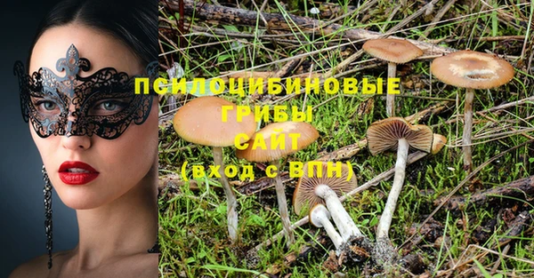 тгк Приозерск