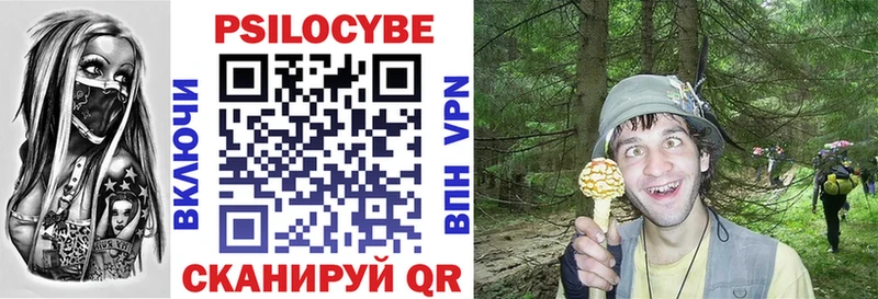 где найти наркотики  даркнет телеграм  Галлюциногенные грибы ЛСД  Рошаль 